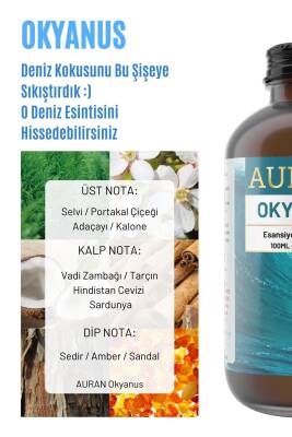 Okyanus Esansiyel Uçucu Koku Yağı Difüzör Esansı Buhurdanlık Yağı Aromaterapi Yağı 100ml - 2