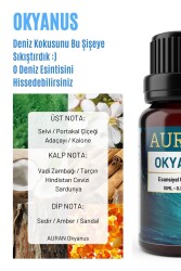 Okyanus Esansiyel Uçucu Koku Yağı Difüzör Esansı Buhurdanlık Yağı Aromaterapi Yağı 10ml - 2