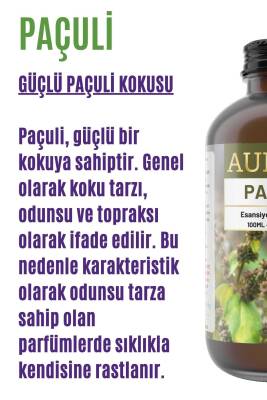 Paçuli Esansiyel Uçucu Koku Yağı Ortam Kokusu Doğal Yağ Sihirli Küre Hobi Esansı 100ml - 2