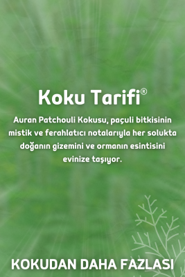 Auran Paçuli Yedek Çubuklu Oda Ve Ortam Kokusu Esansı Yedek Dolum Patchouli 250ml - 2