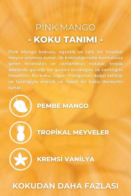 Pink Mango Çubuklu Oda Kokusu Bambu Kokusu Şık Dekor Reed Diffuser 100ml - 3