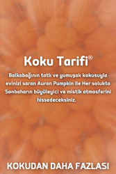 Auran Pumpkin Yedek Çubuklu Oda Ve Ortam Kokusu Esansı Yedek Dolum Balkabağı 500ml - 2