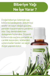 Saf Biberiye Yağı, Yeni Saç Oluşumu ve Gürleştirme Etkili Doğal Biberiye Yağı, Saç Yağı 50 ml - 2