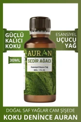 Sedir Ağacı Esansiyel Uçucu Koku Yağı Ortam Kokusu Doğal Yağ Sihirli Küre Hobi Esansı 30ml - 1