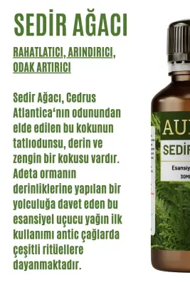 Sedir Ağacı Esansiyel Uçucu Koku Yağı Ortam Kokusu Doğal Yağ Sihirli Küre Hobi Esansı 30ml - 5