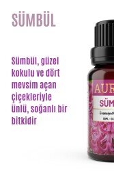 Sümbül Esansiyel Uçucu Koku Yağı Ortam Kokusu Doğal Yağ Sihirli Küre Hobi Esansı 10ml - 2