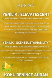 Vanilya Esansiyel Uçucu Koku Yağı Difüzör Esansı Buhurdanlık Yağı Aromaterapi Yağı 10ml - 6