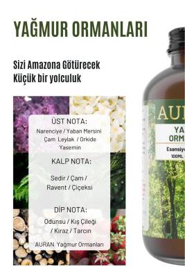 Yağmur Ormanları Esansiyel Uçucu Koku Yağı Ortam Kokusu Doğal Yağ Sihirli Küre Hobi Esansı 100ml - 2