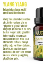 Ylang Ylang Esansiyel Uçucu Koku Yağı Difüzör Esansı Buhurdanlık Yağı Aromaterapi Yağı 10ml - 2