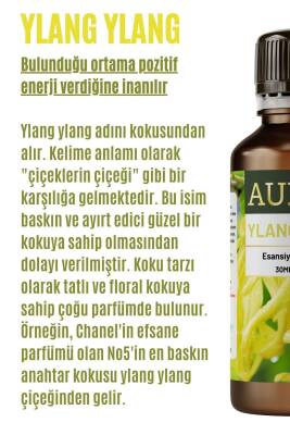 Ylang Ylang Esansiyel Uçucu Koku Yağı Difüzör Esansı Buhurdanlık Yağı Aromaterapi Yağı 30ml - 2