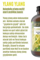 Ylang Ylang Esansiyel Uçucu Koku Yağı Difüzör Esansı Buhurdanlık Yağı Aromaterapi Yağı 100ml - 2